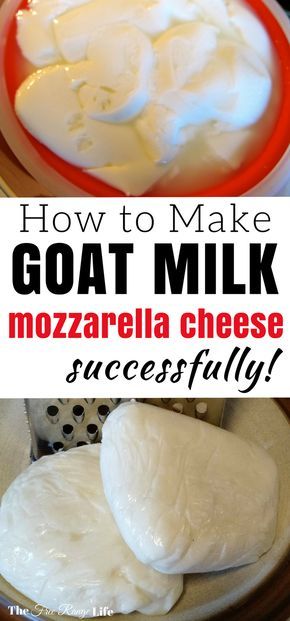 Goat Products, Homemade Cheeses, Milk Ideas, Homemade Mozzarella Cheese, Cheese Recipes Homemade, Cheese Making Recipes, Goat Milk Recipes, Goat Recipes, Making Cheese