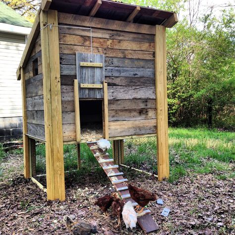 Pallet Chicken Coop Diy Easy, Pallet Chicken Coop, Wood Chicken Coop, Pallet Coop, Easy Diy Chicken Coop, Wood Chicken, Cheap Chicken Coops, Chicken Coop Pallets, Small Chicken Coops