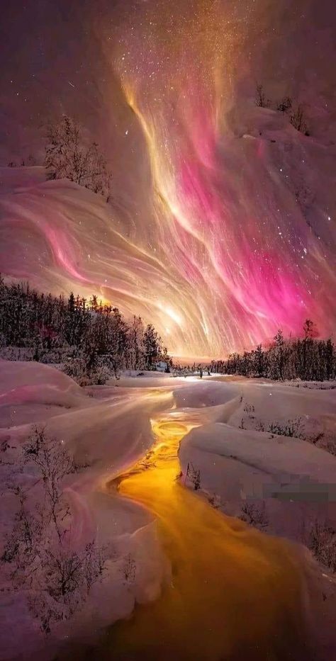 pictures (@1pctures) on X Northern Lights Wallpaper, Fantasy Sky, Northern Lights Photography, Beautiful Scenery Photography, Northern Lights (aurora Borealis), Aurora Borealis Northern Lights, Lit Wallpaper, Space Pictures, Night Sky Photos