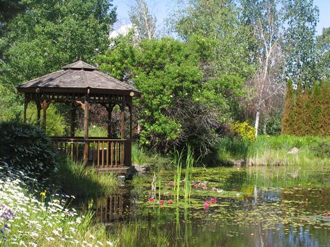 Backyard Ideas Gazebo, Large Pond Landscaping, Yard Pond Ideas, Pond Gazebo, Gazebo Furniture, Tent Pavilion, Backyard Lighting Diy, Large Pond, Weeping Cherry Tree