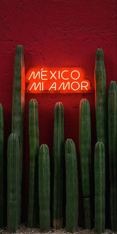 Mexican Wallpaper Aesthetic, Mexican Cafe, Mexican Wallpaper, Mexican Restaurant Decor, Mexico Wallpaper, Mexican Culture Art, Spring Wallpaper, Gongs, Mexican Culture