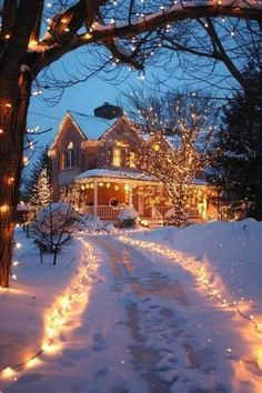 Backyard Lighting Ideas, Backyard Parties, Fall Pics, Christmas House Lights, Christmas Dreaming, Cosy Christmas, Backyard Lighting, Christmas Feeling, Christmas Inspo