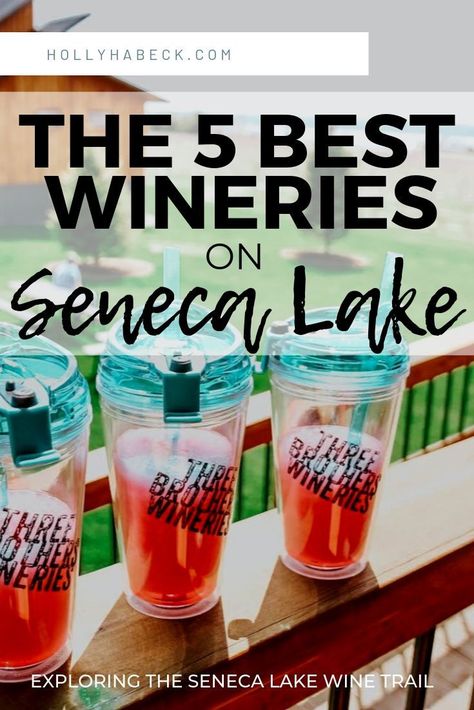 Finger Lakes Wineries, Finger Lakes Ny, Wine Country Travel, Seneca Lake, Lake Girl, Lake Food Ideas, Watkins Glen, Lake Trip, Wine Trail