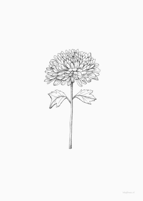 Chrysanthemum Drawing, Friendship Symbol Tattoos, New Beginning Tattoo, Tattoo Lounge, Love Patience, Chrysanthemum Tattoo, Birth Flower Tattoos, Indian Tattoo, Wrist Tattoos For Women