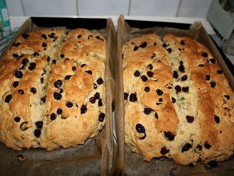 Weihnachtsstollen aus dem Erzgebirge - Rezept vom Urgroßvater, der war Bäcker im Erzgebirge, für 2 Stollen. Eine Bewertung und für sehr lecker befunden. Mit ► Portionsrechner ► Kochbuch ► Video-Tipps! Candied Lemon Peel, German Bread, Bread Art, Candied Orange Peel, Candied Lemons, Vanilla Sugar, Raisin, Yeast, Biscuits