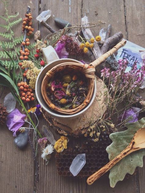 fuckyeahpaganism: “  How are you healing today? Teascape by Lindsay Luna ” Magia Das Ervas, Herbal Apothecary, Witch Aesthetic, Kitchen Witch, Green Witch, Sacred Space, Herbal Medicine, Permaculture, Herbal Remedies