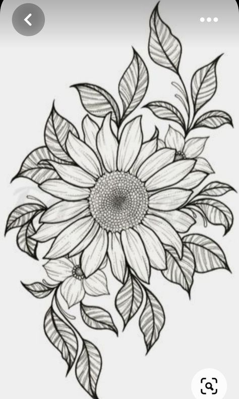 Sunflower Illustration, Sunflower Drawing, Flower Art Drawing, Wood Burning Patterns, Pola Sulam, Wood Burning Art, Stencil Art, Coloring Book Art, Tattoo Design Drawings