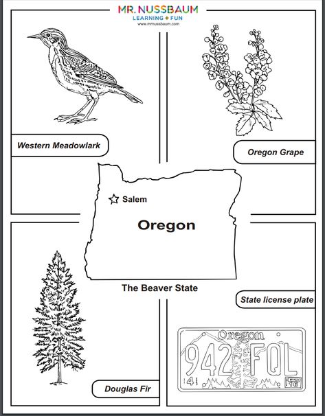 This awesome coloring activities allows students to design Oregon's state bird, flower, tree, and license plate! Oregon Stamp Tattoo, Oregon Symbols, Oregon State Flower, State And Capital, Usa Symbols, Map Reference, Oregon Tattoo, Road Trip Printables, Earth Crafts