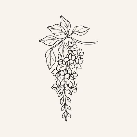 Cassia Flower Tattoo, Plants Line Art, Cassia Tree, Plant Outline, Outline Flower, Herb Embroidery, Vector Line Art, Plant Names, Flower Outline