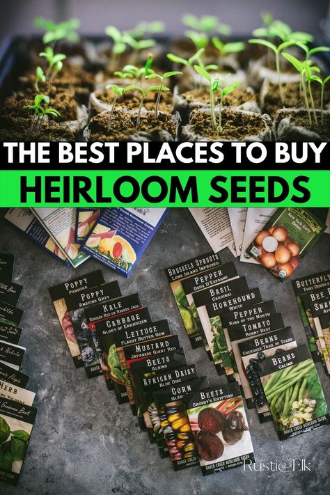 Heirloom, open pollinated seeds are the best types for gardener's to grow as these can be saved and breed true. So, where to get them? These 13 amazing companies offer a variety of vegetable and herb seeds and more to provide you with the organic seed you want for your vegetable garden. Open Pollinated Seeds, Heirloom Vegetable Seeds, Heirloom Vegetables To Grow, Seed Storage Organization, Heirloom Seeds Companies, Saving Seeds From Vegetables, Heirloom Gardening, Heirloom Seeds Catalog, Vegetable Seeds Packets