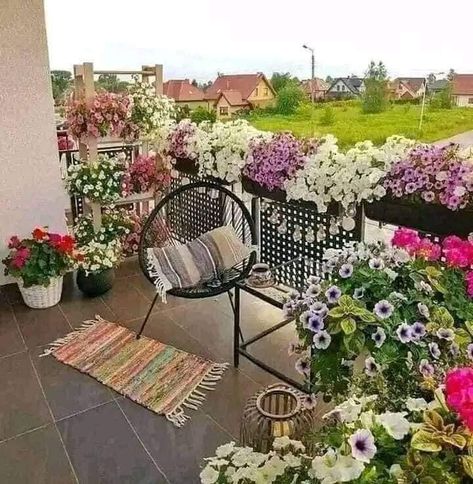 Klein Balkon Decor, Balkon Decor, Balcony Gardens, نباتات منزلية, Small Balcony Garden, Balcony Flowers, Terrace Decor, Small Balcony Design, Balcony Plants