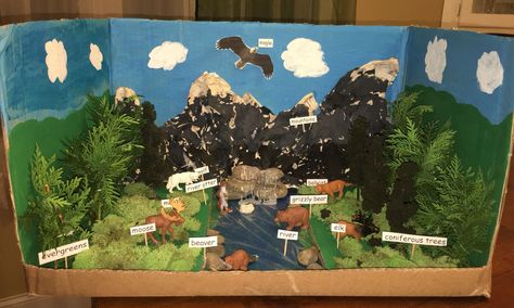 Taiga Biome Diorama 5BD Landform Projects, Biomes Project, Ecosystems Projects, Healthy Community, Habitats Projects, Montessori Geography, Teaching Geography, Homeschool Social Studies, Homeschool Geography