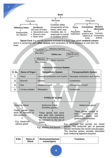 Chemical Control And Coordination Notes, Control And Coordination Class 10 Notes, Neural Control And Coordination Notes, Control And Coordination Notes, Physics Wallah, Biochemistry Notes, Neet Notes, Learn Biology, Chemistry Basics