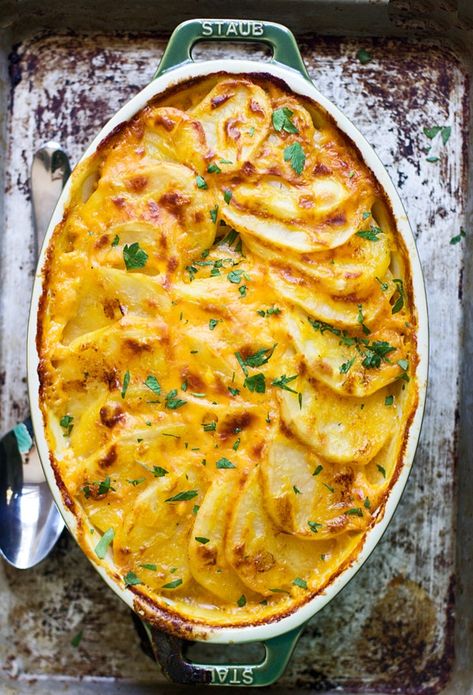 Creamy Pumpkin and Cheddar Scalloped Potatoes - Cooking for Keeps Cheddar Scalloped Potatoes, Pumpkin Recipes Dinner, Recipes Pumpkin, Savory Pumpkin Recipes, Pumpkin Recipes Easy, Savory Dinner, Thanksgiving Recipes Side Dishes, Pumpkin Pumpkin, Thanksgiving Sides