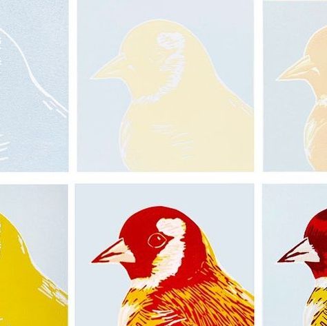 Suzanne Kruisdijk on Instagram: "Here's seperatly shown the 9 color layers of my recent Goldfinch reduction linoleum print. Because the photos were all taken on a different day, after all, the color layers have to dry before a new layer can be printed, the colors are somewhat influenced by the light of that particular day. As a result, for example, the background color looks slightly different in the various phases. But eventhough I thought it would be nice to be able to see the layers next to Color Reduction Linocut, Reduction Print, Reduction Lino Print, Relief Printmaking, Linoleum Print, 8th Grade Art, Lino Art, Stamp Carving, Hand Carved Stamps