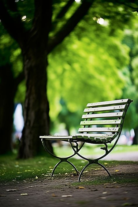 Chair Wallpaper, Park Background, Tree Background, Grass Background, Grass Wallpaper, Beautiful Profile Pictures, Nature Background Images, Water Background, Bench Outdoor