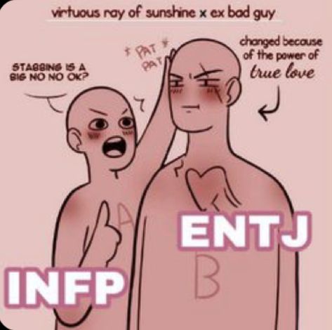 Entj Infp Ship, Entj X Infp Relationship, Entj X Infp, Entj Infp, Infp X Entp, Infp Ships, Infp Problems, Infp Relationships, Entj Personality