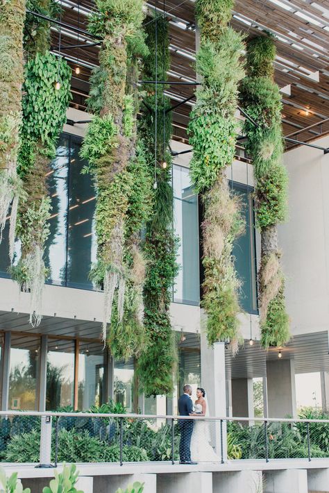 Miami Balcony, Perez Art Museum Miami, Mark Zunino, Bike Shelter, Perez Art Museum, Modern Miami, Climbing Tower, Plant Installation, Green Facade