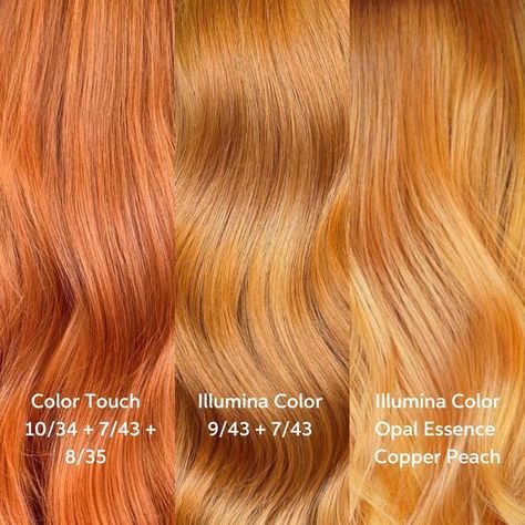 Wella Color Touch Formulas Copper, Light Golden Copper Hair, Cooper Ginger Hair, Dyed Hair Korean, Golden Ginger Hair, Golden Copper Hair Color, Copper Peach Hair, Golden Copper Hair, Modern Hairstyles For Women