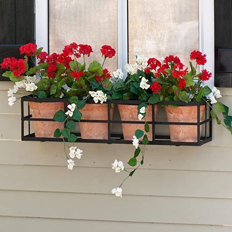 Wrought Iron Window Boxes, Metal Window Boxes, Contemporary Window, Window Box Plants, Contemporary Windows, Side Yard Landscaping, Iron Planters, Window Box Flowers, Window Planters