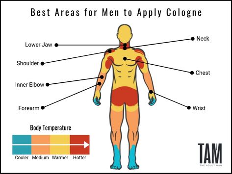 How to Choose & Apply Cologne: The Ultimate Fragrance Guide for Men Best Fragrance For Men, Formal Mens Fashion, Fitness Advice, Cologne Spray, Best Fragrances, Signature Scent, Men's Grooming, Like A Pro, Smell Good