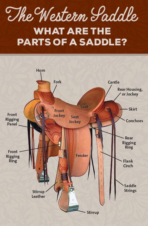 Western Saddle Types, Parts Of A Saddle, Parts Of A Western Saddle, Saddle Making, Types Of Saddles, Western Saddles, Western Horse Saddles, Western Store, Horse Camp