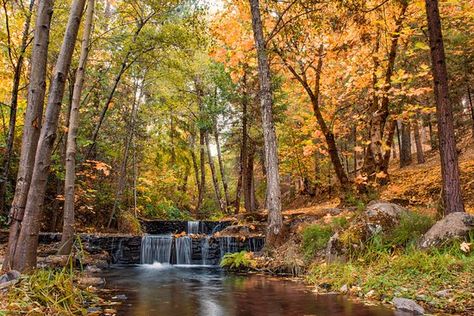 Placerville California, California Vacation, Vacation Usa, Farm To Table, Take A Hike, Ralph Waldo Emerson, Think Again, Table Dining, Beautiful Places To Visit