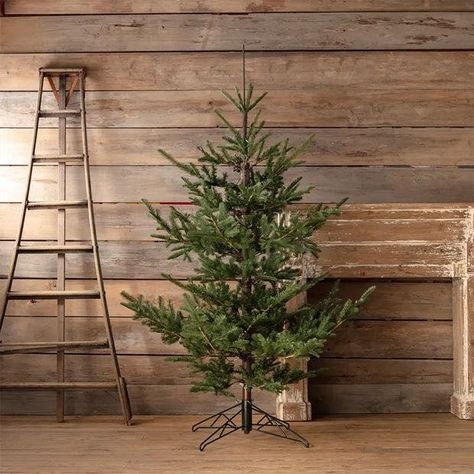 7.5 Foot Lighted Noble Fir Tree | Antique Farmhouse Noble Fir Christmas Tree, Noble Fir Tree, White Tulip Bouquet, Lit Christmas Tree, Fir Christmas Tree, Pre Lit Christmas Tree, Winter Berry, Stacked Pumpkins, Tulip Bouquet