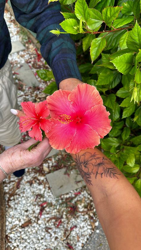 Colorful Hibiscus Tattoo, Hibiscus Tattoo Black Women, Hibiscus Back Tattoo, Hibiscus Tattoo Color, Hibiscus Tattoo, Just Ink, Cute Little Drawings, Hibiscus Flowers, Summer Dream