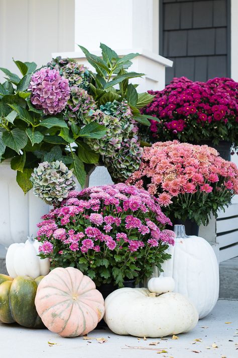 Purple fall front porch, dark grey sided home featuring mums in shades of purple with hints of faux orange florals and leaves Rustic Fall Porch, Fall Deco, Diy Outdoor Decor, Fall Front Porch, Fall Outdoor Decor, Fall Decorations Porch, Front Porch Decorating, Fabulous Fall, Front Porch Decor