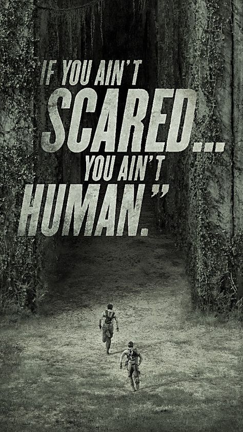 "If you ain't scared... you ain't human."  #themazerunner #quotes The Maze Runner, Maze Runner, The Words, Walking, Wallpapers, Human, Quotes