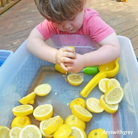 sensory bin for toddlers Sensory Stations, Fruit Activities, Cedar Projects, Sensory Play Toddlers, Cooking Theme, Hand Muscles, Sensory Ideas, Sour Fruit, Art Activities For Toddlers