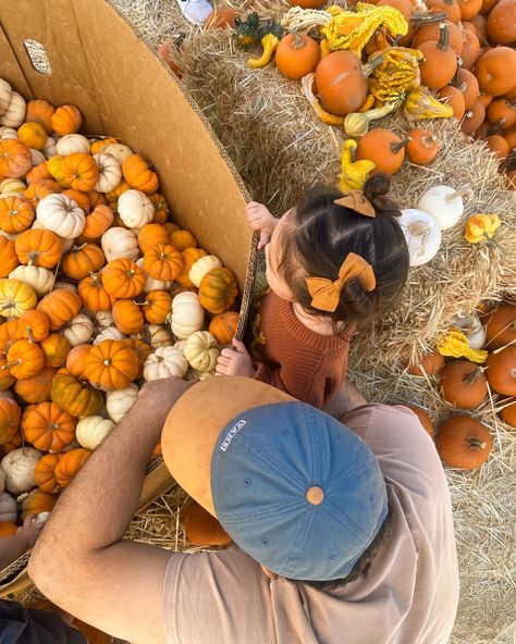 Toddler Hairstyles / Zig Zag Part / Double Buns Faceless Kid Pictures, Zig Zag Part, Faceless Photos, Pumpkin Patch Pictures, Double Buns, Toddler Hairstyles, Fall Photo, Face Photo, Baby Sister