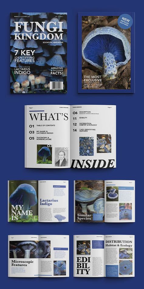 Mises En Page Design Graphique, Indesign Layout, Magazine Layout Inspiration, 잡지 레이아웃, Book Cover Design Inspiration, Illustrator Design Tutorial, Magazine Ideas, Zine Design, Graph Design