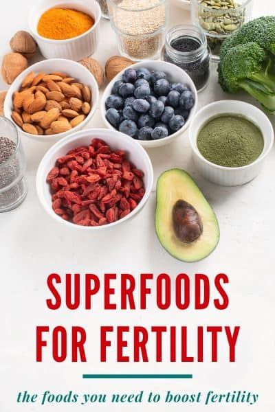 Fertility Foods For Women, Fertility Superfoods, Fertility Recipes, Foods For Fertility, Pregnancy Recipes, Fertility Nutrition, Pregnant Tips, Increase Fertility, Fertility Supplements