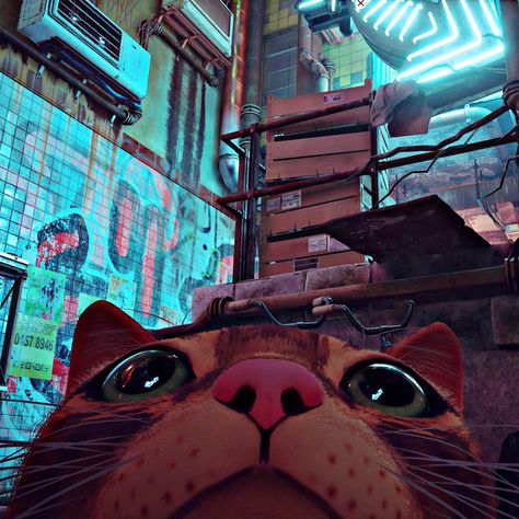 Stray Game, Stray Cat, Neon, Building