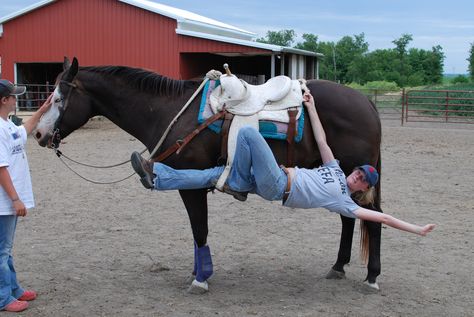 The relationship between trick riding and rivers. | Standing Out ... Riding Reference, Vaulting Equestrian, Trick Riding, Dream Horse Barns, Horse Story, Horse Show Clothes, Barrel Racing Horses, Horse Posters, Funny Horses