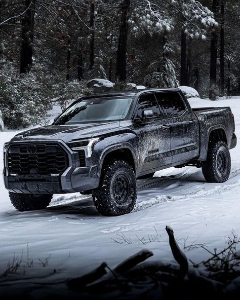 Toyota Trucks Tundra, 2024 Toyota Tundra, 2023 Gmc Canyon, Custom Tundra, Tundra Car, Wolf In The Woods, New Toyota Tundra, Toyota Tundra Lifted, Lifted Tundra