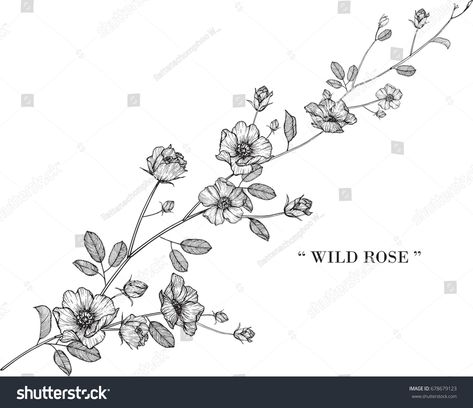 Wild Rose Flower Tattoo, Climbing Roses Drawing, Iowa Wild Rose Tattoo, Climbing Flower Tattoo, Climbing Roses Tattoo, Climbing Rose Tattoo For Women, Wild Rose Tattoo Design, Wild Irish Rose Tattoo, Climbing Rose Tattoo