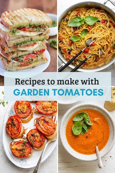 30 Recipes to Make with Garden Tomatoes Fresh Tomato Pasta Recipes, Garden Tomato Recipes, Tomato Pasta Recipes, Recipe Using Tomatoes, Summer Tomato Recipe, Tomatoes Dinner, Fresh Tomato Pasta, Tomato Dishes, Produce Recipes