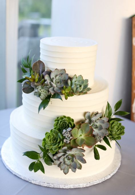 Succulent Wedding Cakes, Succulent Wedding Decor, Succulent Cupcakes, Roanoke Island, Succulent Cake, Cedar Shake, Cactus Wedding, Outer Banks Wedding, Simple Wedding Cake