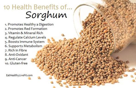 The health benefits of Sorghum Healthy Poster, Food Health Benefits, Coconut Health Benefits, Healthy Benefits, Healing Food, Healing Herbs, Natural Health Remedies, Natural Medicine, Eating Healthy