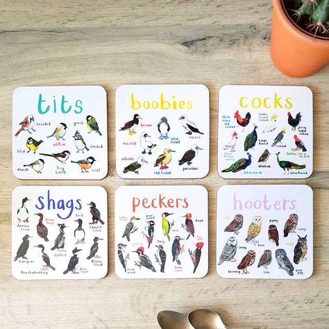 Bird Puns, Funny Coasters, Creative Tables, Different Birds, Bird Watchers, Tea Coaster, Funny Birds, Blue Island, Hand Illustration