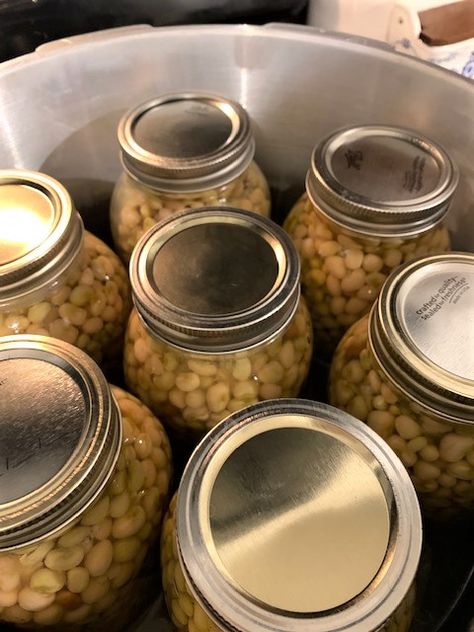 How to use a Pressure Cooker to Can Peas < At Home in the Wildwood Canning Peas, Crowder Peas, Fresh Peas, Water Bath Canning, Using A Pressure Cooker, Pressure Canner, Pressure Canning, Canned Tomato Sauce, How To Can Tomatoes