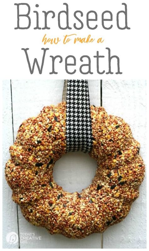 Bird Seed Wreath, Birdseed Wreath, Kids Gardening Projects, Do It Yourself Decoration, Bird Suet, Feed The Birds, Bird Seed Ornaments, Bird Wreath, Homemade Bird Feeders