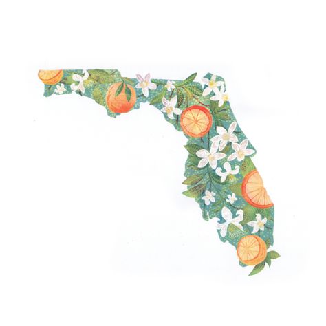 Florida State Flowers Map Florida Oranges, Orange Blossoms, Florida Art, Florida Girl, Clearwater Florida, Florida Living, Etsy Art Prints, Sanibel Island, Orange Tree