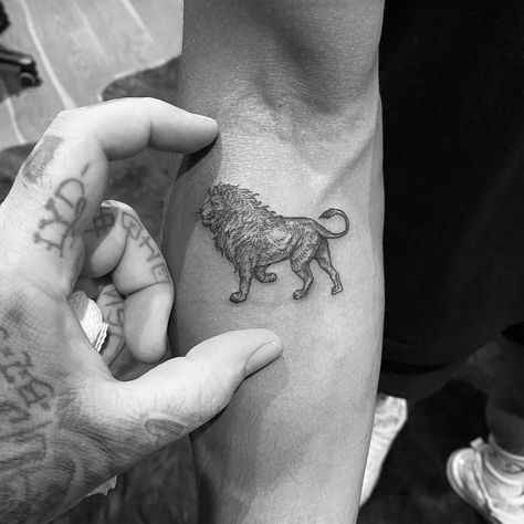 Vintage Lion Tattoo, English Lion Tattoo, Lion Men Tattoo, Lion Back Tattoo Men, Aesthetic Lion Tattoo, Lion Sun Tattoo, Heart Of A Lion Tattoo, Tattoo Inspo Men, Lionheart Tattoo