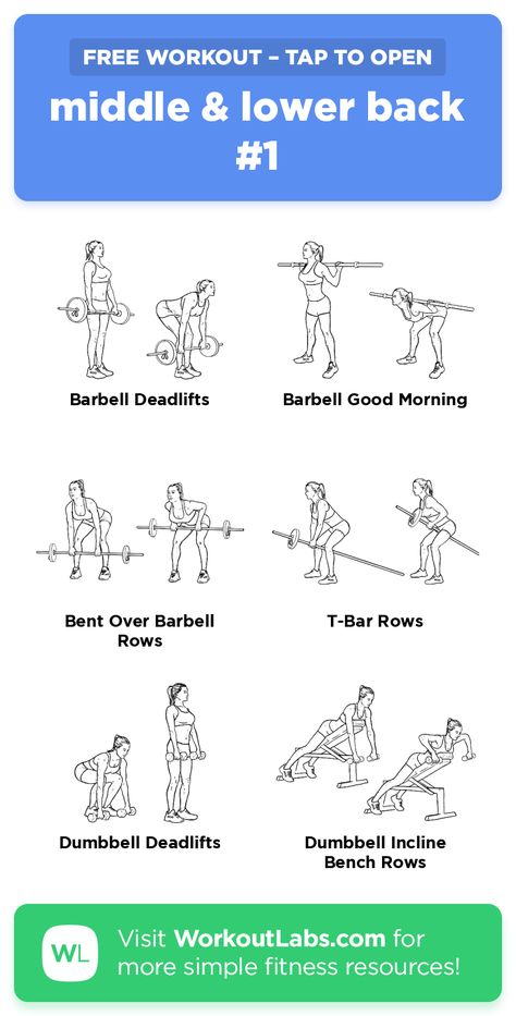 Back Exercises Gym Machines, Back Workout Women Barbell, Barbell Back Workout Women, Middle Body Workout, Lower Back Weight Workout, Lower Belly Workout Gym Machine, Lower Back Muscle Workout, Gym Lower Body Workout For Women, Mid Back Workout