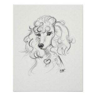 Poodle Tattoo, Poodle Drawing, Print Sketch, Cat Sketch, Poodle Dog, Dog Drawing, Bichon Frise, Sketch Art, Dog Art