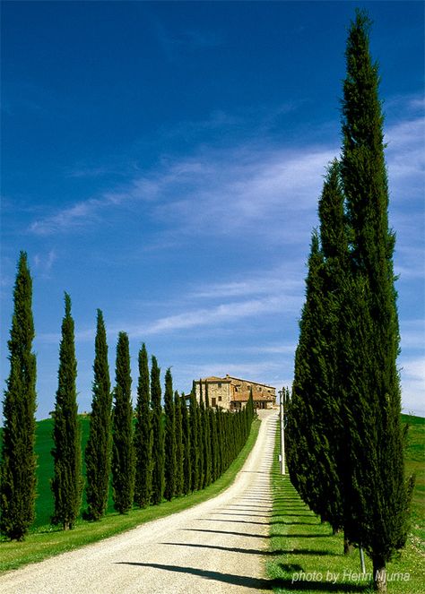 Toscana Italia, Under The Tuscan Sun, Living In Italy, A Hill, Old Building, Tuscany Italy, Wonderful Places, Italy Travel, Dream Vacations